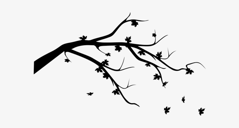 Choose Color - Leaves Falling Black And White, transparent png download