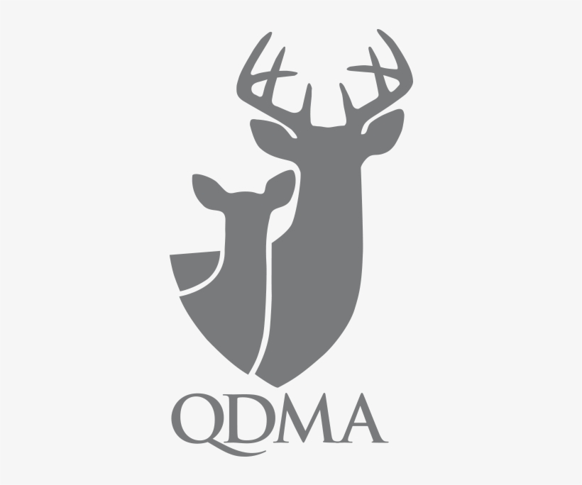 Qdma Deer, transparent png download