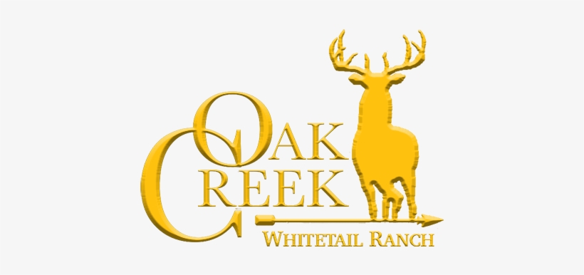 Subscribe To Our Newsletter - Oak Creek Whitetail Ranch, transparent png download