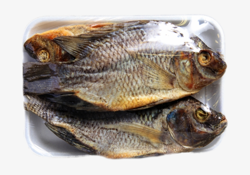 Dry Tilapia, transparent png download