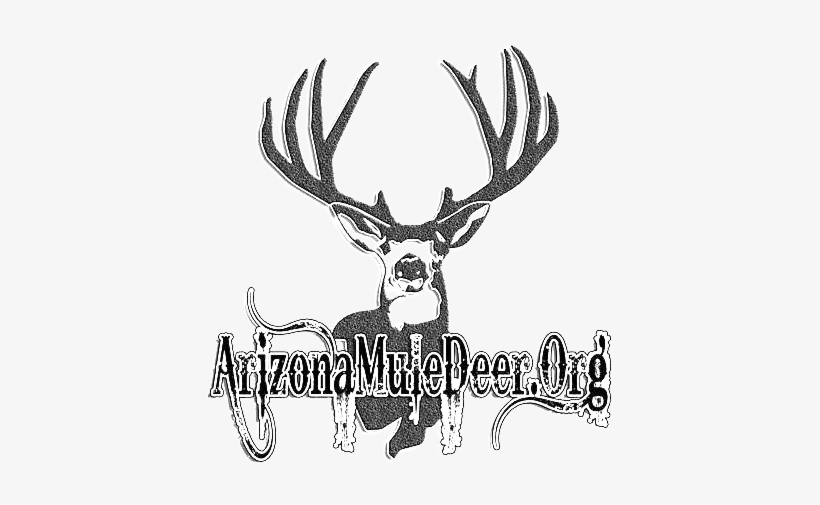 Arizona Mule Deer Organization - Arizona, transparent png download