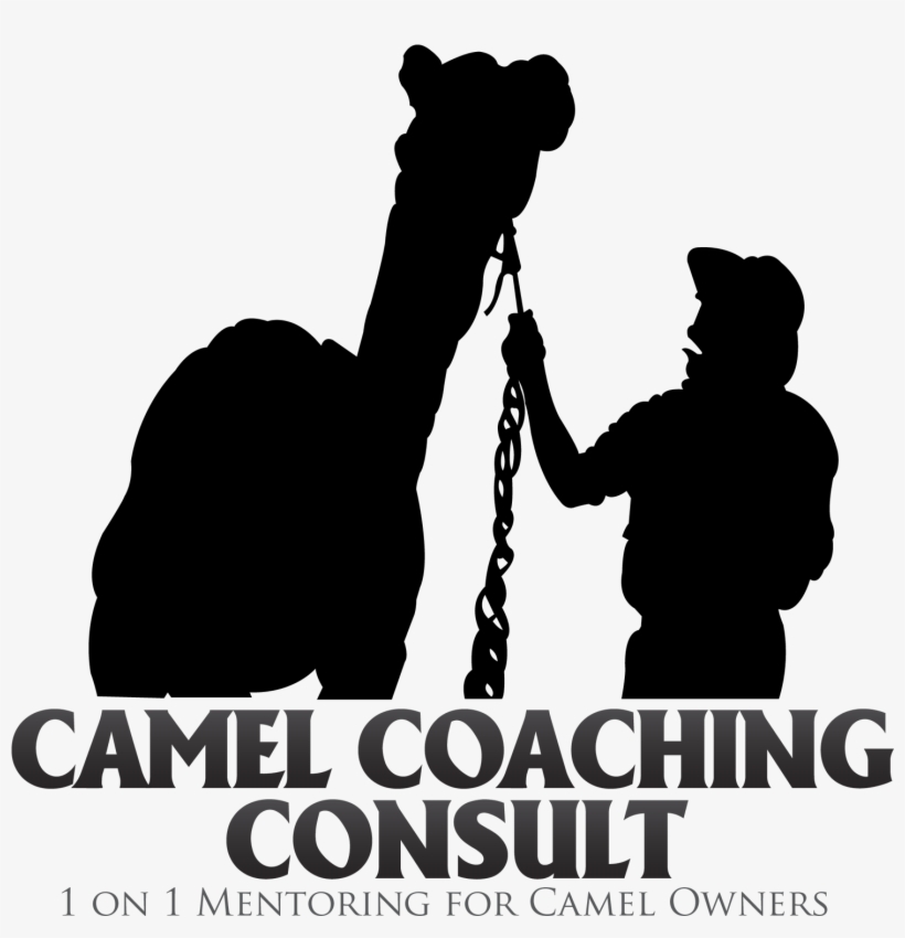 $300 - - Bactrian Camel, transparent png download