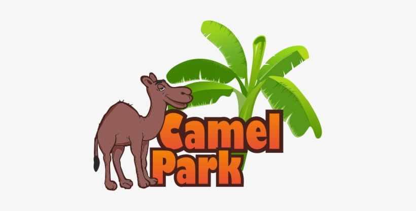 Camel Park - Camel Park Tenerife Logo, transparent png download