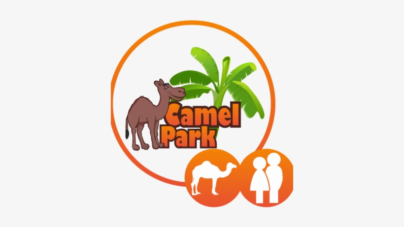 Camel Ride 30′ - Menu De Camello, transparent png download