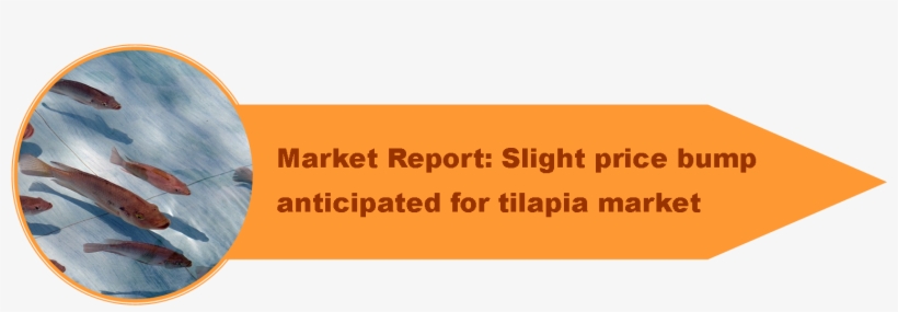 Premi 1 - Advertising Agency, transparent png download