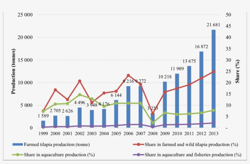 Tilapia Aquaculture Production In Nigeria - Aquaculture Of Tilapia, transparent png download