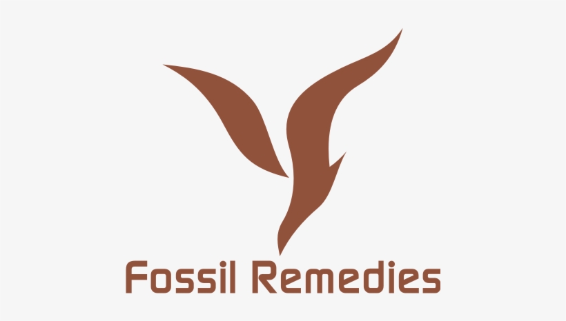 393fossil-logo - Vienna Museum, transparent png download