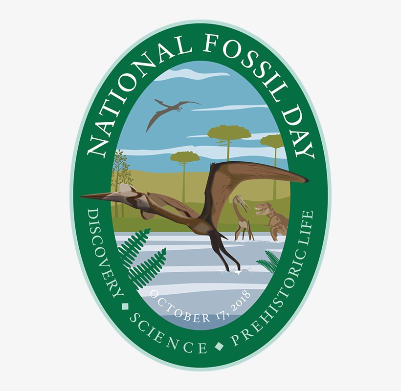 File 536x720px, 72dpi [1 - National Fossil Day 2018, transparent png download