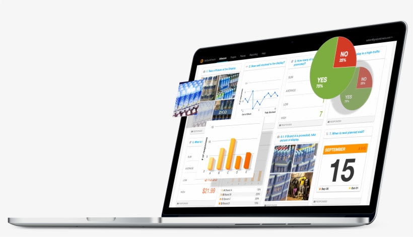 Amy Koch, Director Of Field Marketing At Zico - Online Advertising, transparent png download