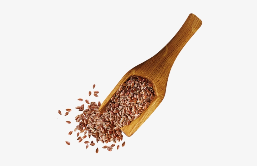 Search For - - Flax, transparent png download