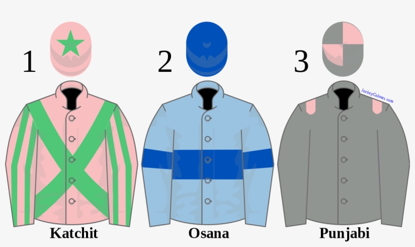 Sweater, transparent png download