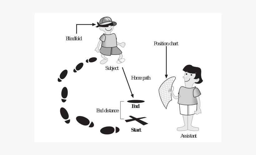 Vinex Training Hurdle - Diagram, transparent png download