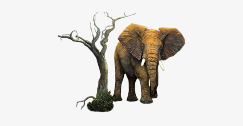 Elephant-tree - Png Eleafant, transparent png download