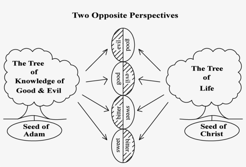 Lesson 8 Figure - Bible, transparent png download