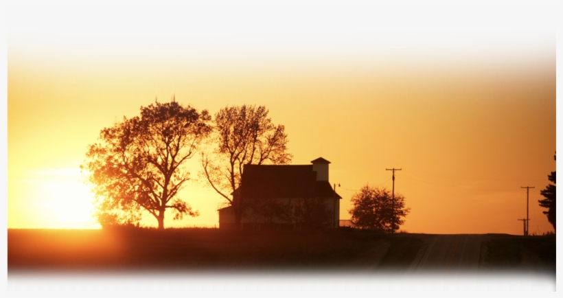 Welcome To Oregon Potato Company Your Innovative Grower - Journey Of My Father's Son: Tales, transparent png download