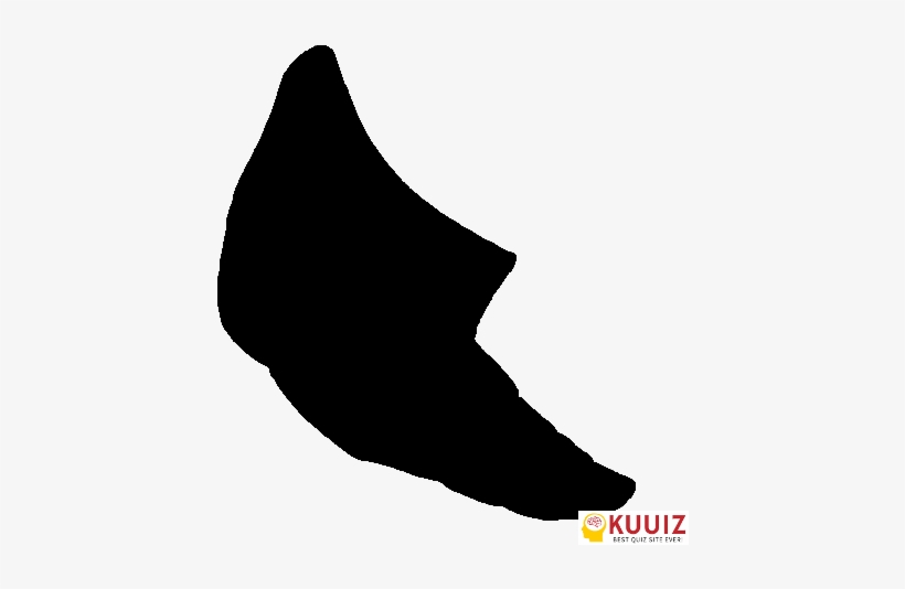 Who's That Pokémon Caterpie - Who's That Pokemon Metapod, transparent png download