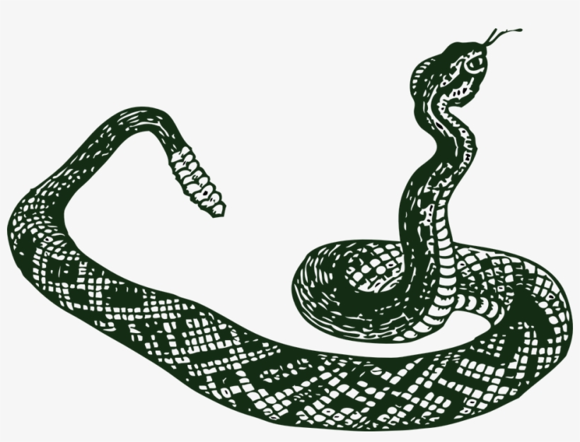Drawn Serpent Snake Png - Snake Clip Art, transparent png download