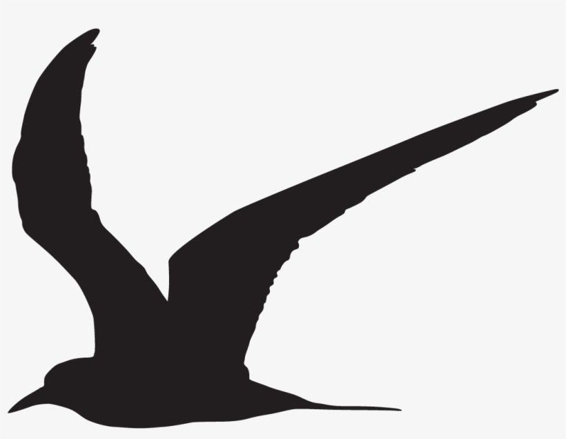 Common Tern - Common Tern Silhouette, transparent png download