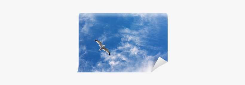 Flight, transparent png download