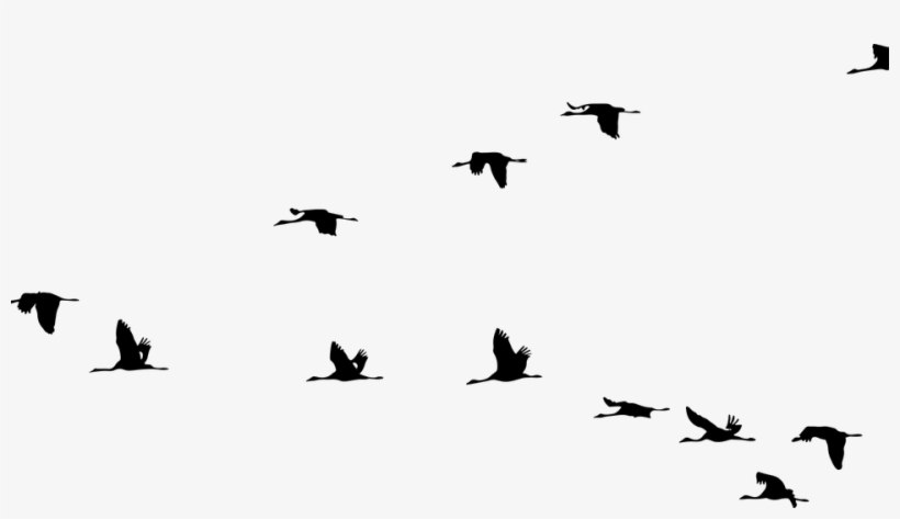 Flying Cranes Silhouette, transparent png download