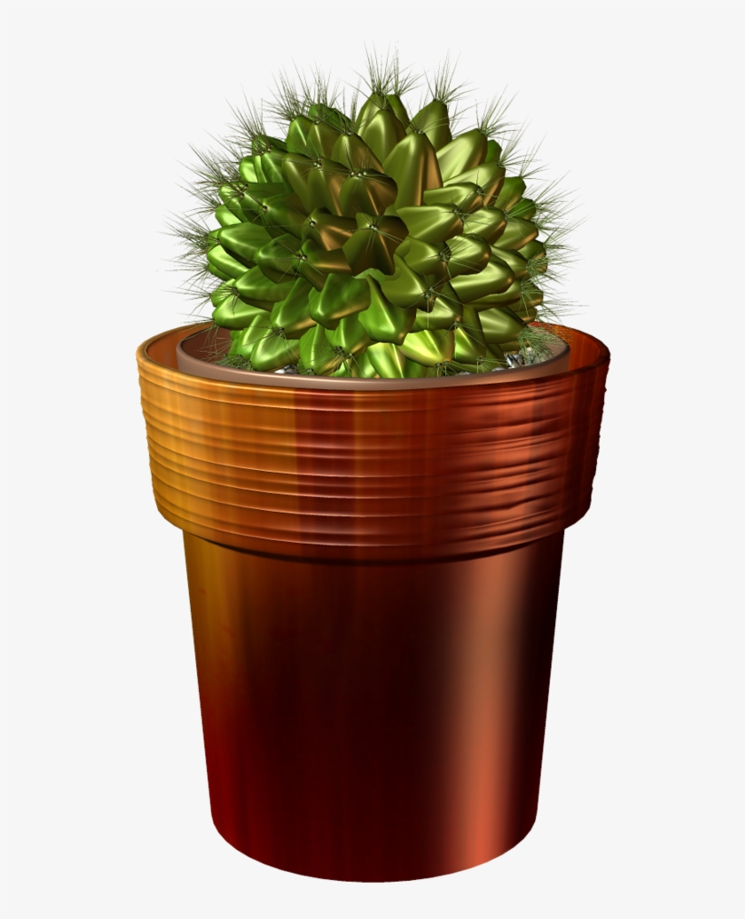 Árvores, Jardim E Etc - Cactus, transparent png download
