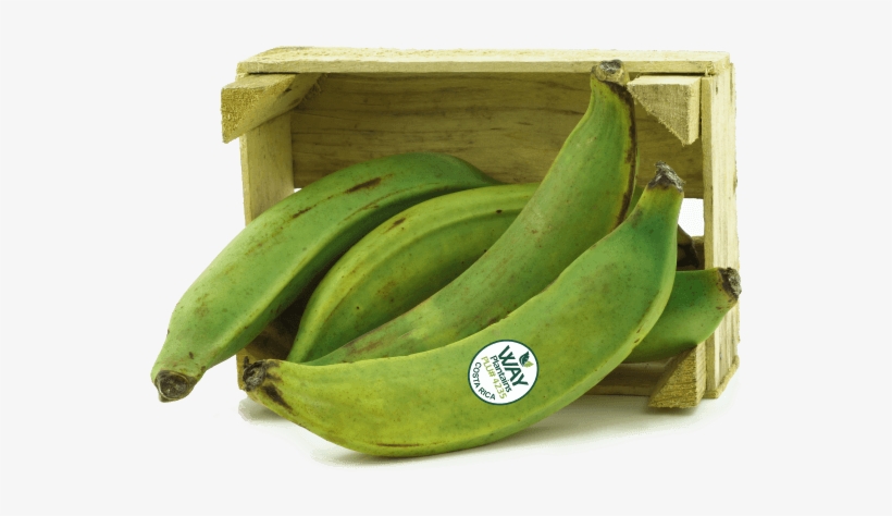 Plantains Transparent, transparent png download