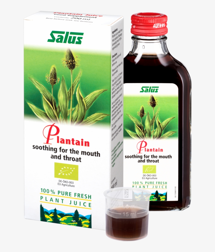 Salus Stinging Nettle Juice - 200 Ml, transparent png download