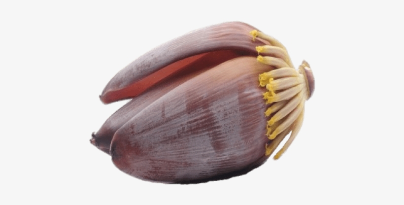 Plantain Flower - Banana, transparent png download