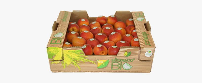 Apricots - - Nectarines, transparent png download