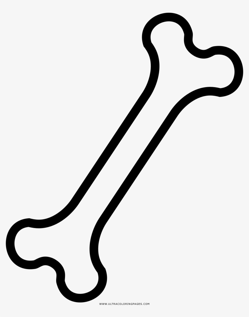 Hueso Colorear Images Search - Line Art, transparent png download