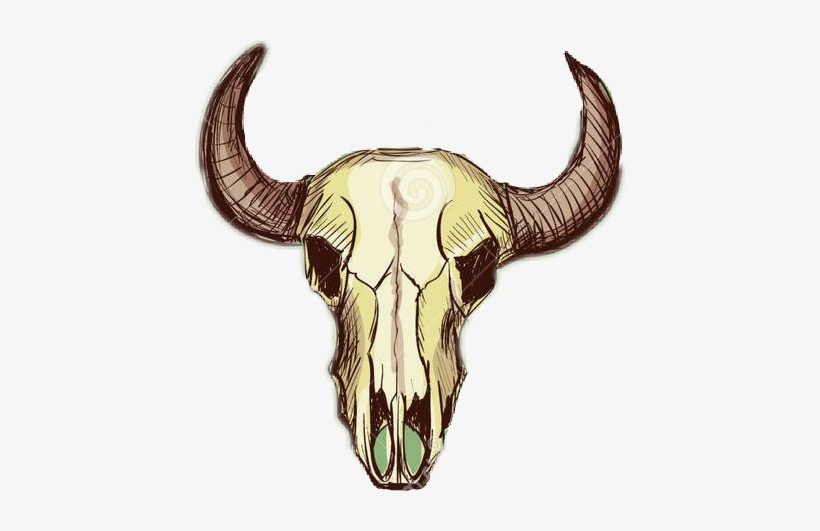 Skull, transparent png download