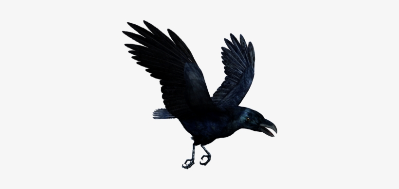 Ravan Png Pictures Png Images - Mc Ride Tattoo Crow, transparent png download