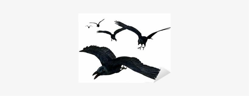 Dragon And The Raven: The Days, transparent png download