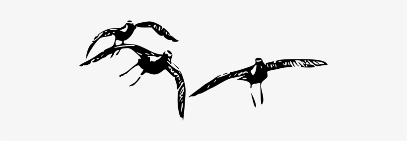 Flying Birds,birds In - Illustration, transparent png download