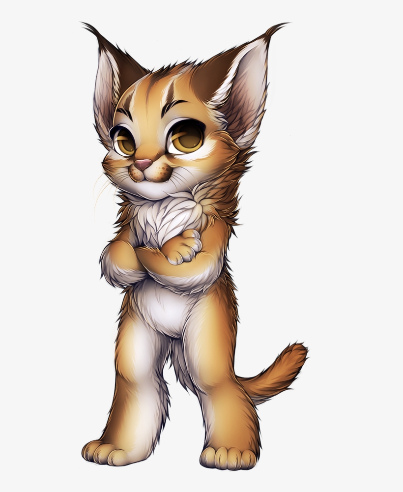 Scottish Fold Siamese Cats, transparent png download