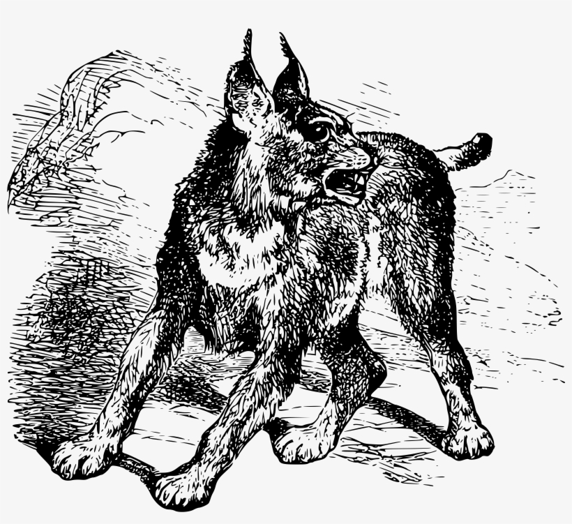 Caracal Png, transparent png download