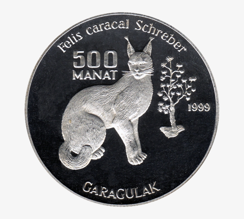 Tm 1999 500manat Caracal B - Venezuelan Bolívar, transparent png download