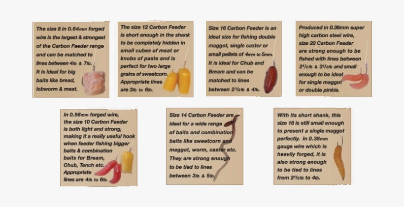Picture - - Brochure, transparent png download