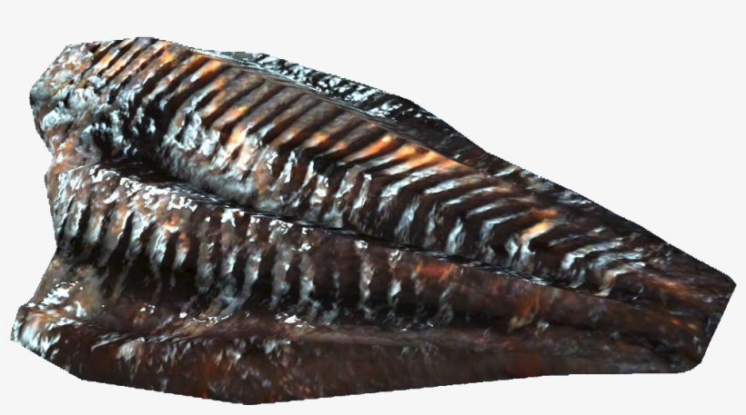 Angler Meat - Fallout 4 Consumables, transparent png download