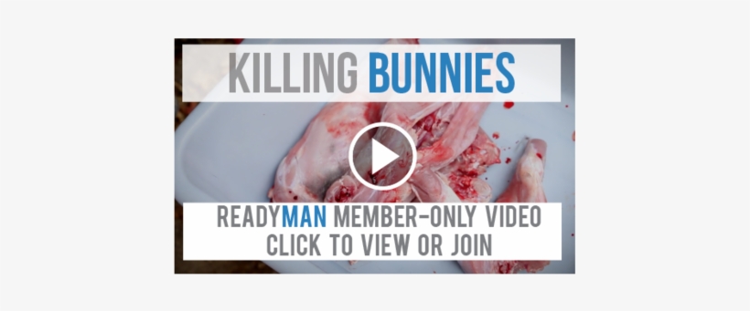 What's - Rabbit, transparent png download