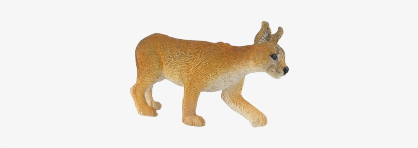 Caracal - Lion, transparent png download