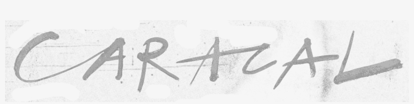 Caracal Disclosure - Disclosure Caracal Transparent, transparent png download