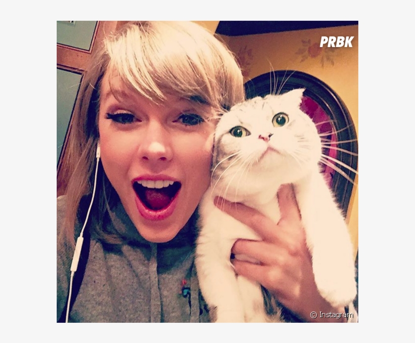 Taylor Swift Volta A Aparecer No Ranking De Fotos Mais - Taylor Swift And Meredith, transparent png download