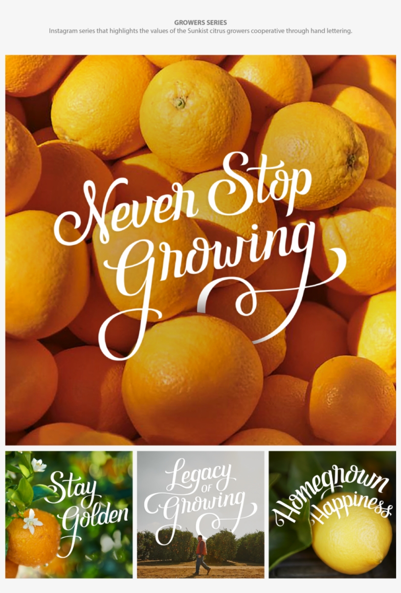 Sunkist-01 - Mandarin Orange, transparent png download