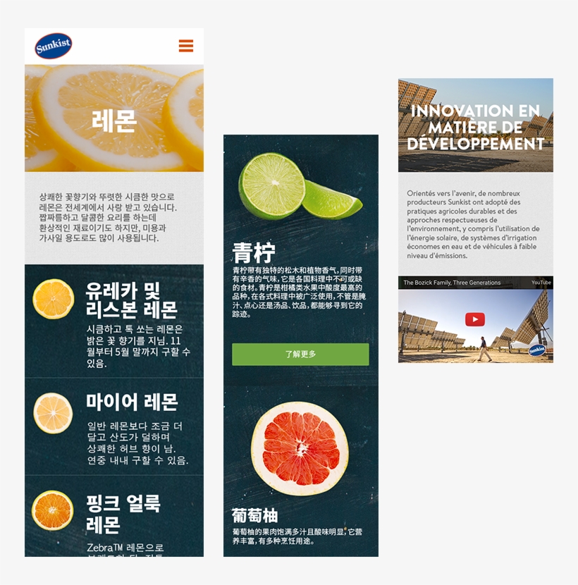 Com Chinese And French Localization - Flyer, transparent png download