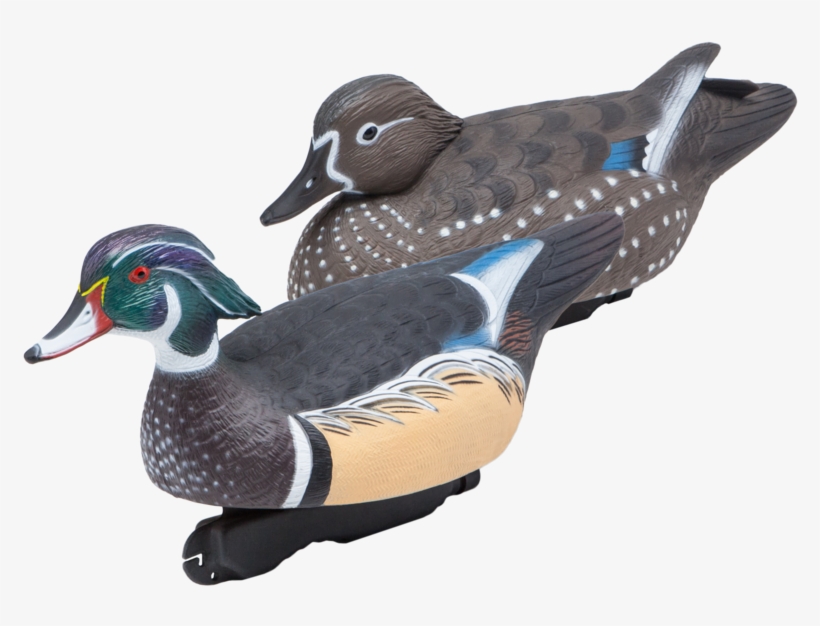 Sale - Duck, transparent png download