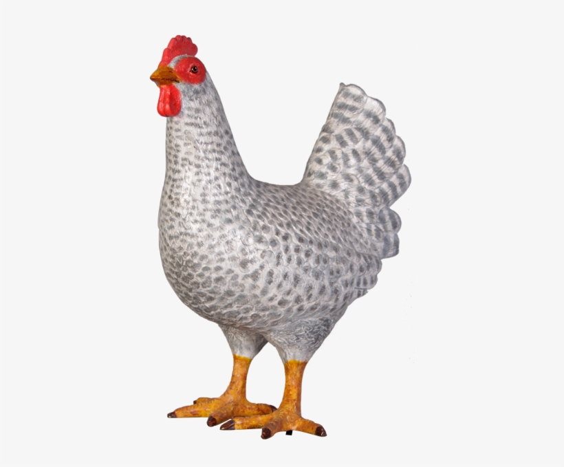 Img - Figura Gallina, transparent png download