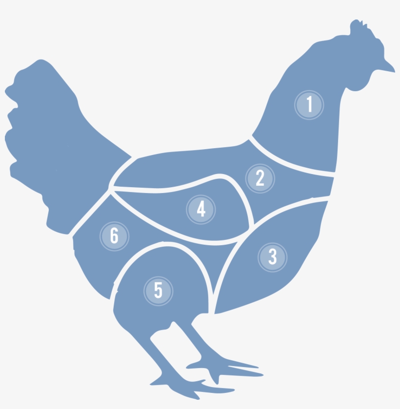 1 - Neck - Cortes De La Gallina Png, transparent png download
