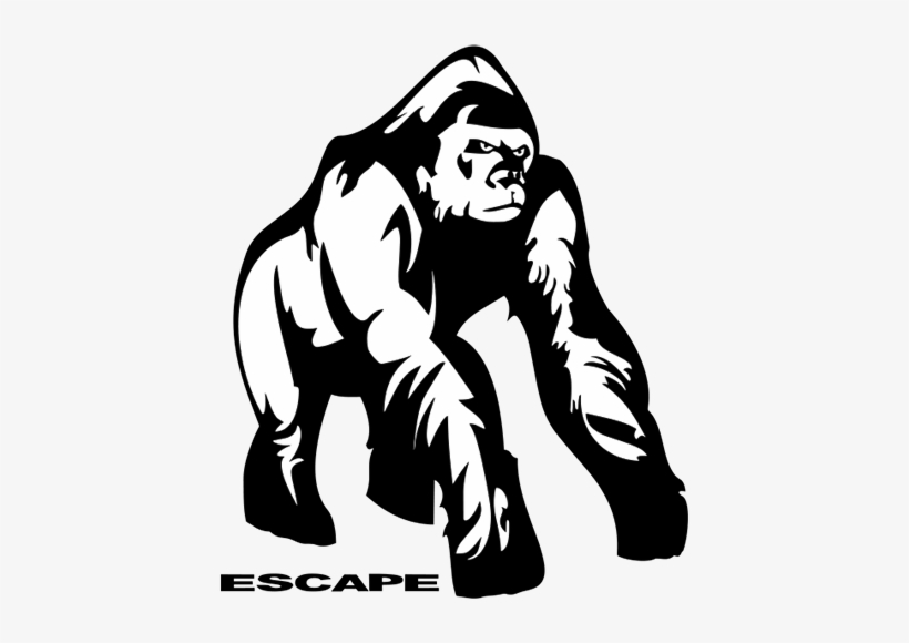 Escape Climbing - Climbing, transparent png download