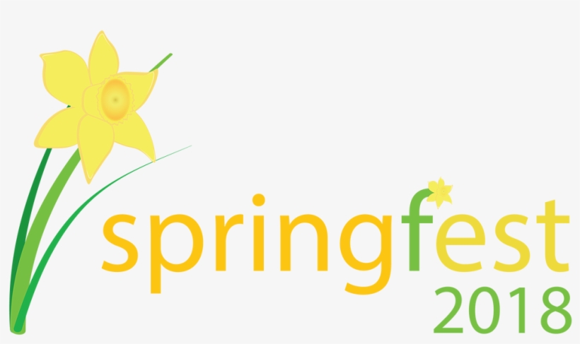 P3 Best In Test, transparent png download